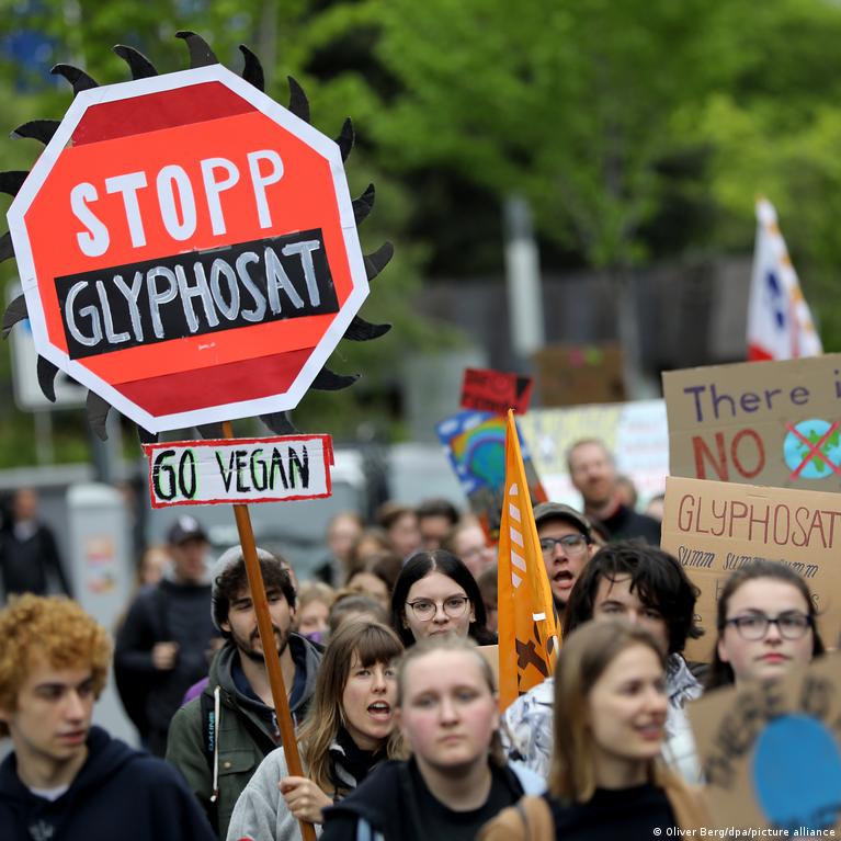 El regulador europeo abre la puerta a renovar la autorización del glifosato  en la UE