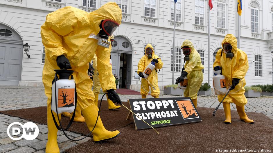 Greenpeace urge a la UE a desarrollar un plan de salida para el herbicida  glifosato