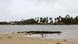 A Sri Lankan beach A Sri Lankan beach