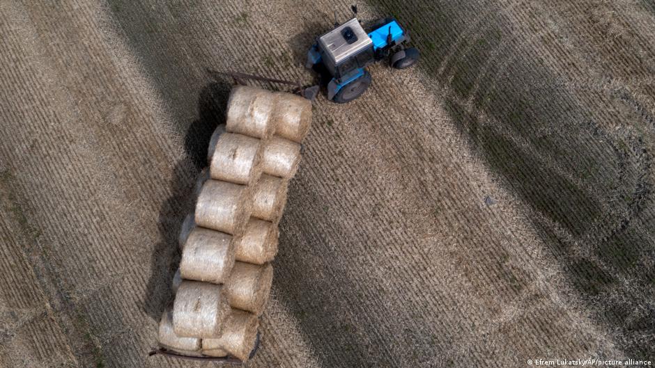 В Україні вперше оголосили підозру у воєнному злочині за вивезення викраденого зерна