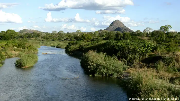 Les bords des fleuves riches en biodiversité