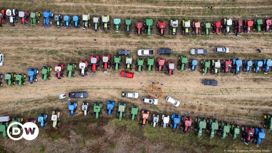 EU farmer protests: What's driving tractors to the streets? – DW –  01/11/2024