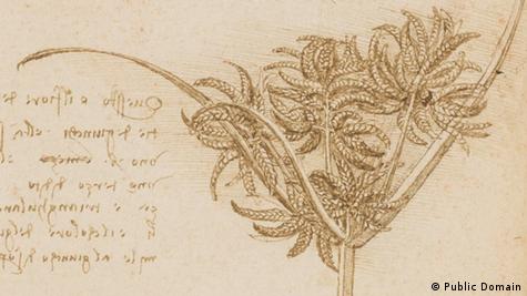 Hallan seis parientes vivos de Leonardo da Vinci por ADN – DW – 23/05/2025