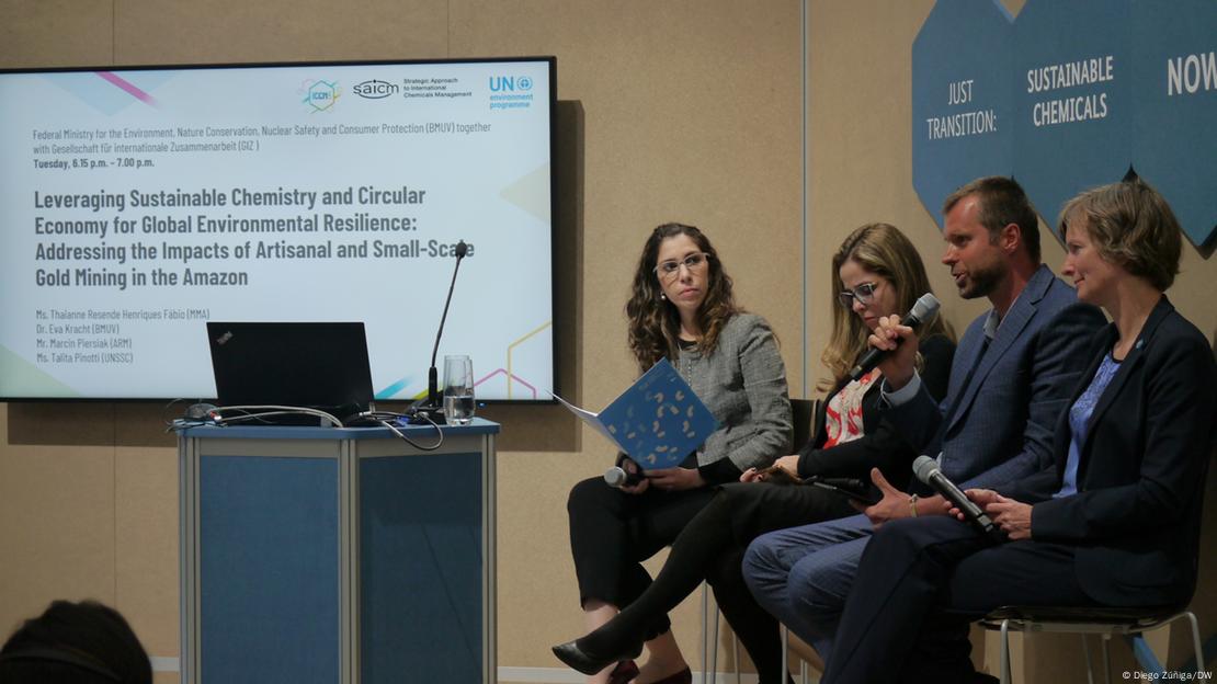 El panel de expertos reunido en Bonn para hablar de mercurio y minería.