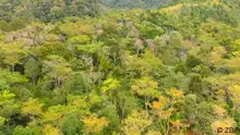 Dokumentation Urwald für die Stadt - Aufforsten gegen den Klimawandel
Sendedatum: 14. Oktober 2023
Beschreibung: Der Klimawandel zerstört unsere Wälder. Überall auf der Welt suchen Menschen nach Wegen, um das Waldsterben aufzuhalten. Die Dokumentation stellt verschiedene Konzepte vor: Tiny Forests zwischen Beton und Straße in der Stadt, um die Atmosphäre abzukühlen; eine Baumschule zur Erhaltung der alten Arten von Urwaldbäume in Brasilien und die Hochschule Eberswalde holt sich Hilfe bei indigenen Völkern (bspw. den Kogi), um dem Waldsterben auf den Grund zu gehen. Fotograf: © ZDF (Stills aus einer ZDF-Doku)
Rechte: Verwendung nur im Zusammenhang mit dieser Dokumentation
