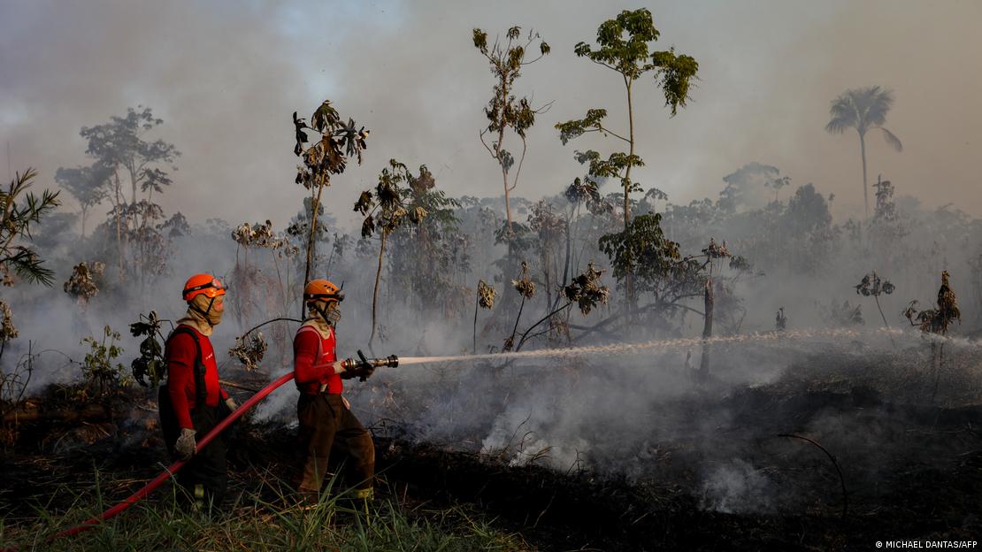 Bombeiros jogam área com mangueira em área de queimada na floresta