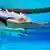 Underwater view of backstroke competitors diving into a pool with their arms outstretched