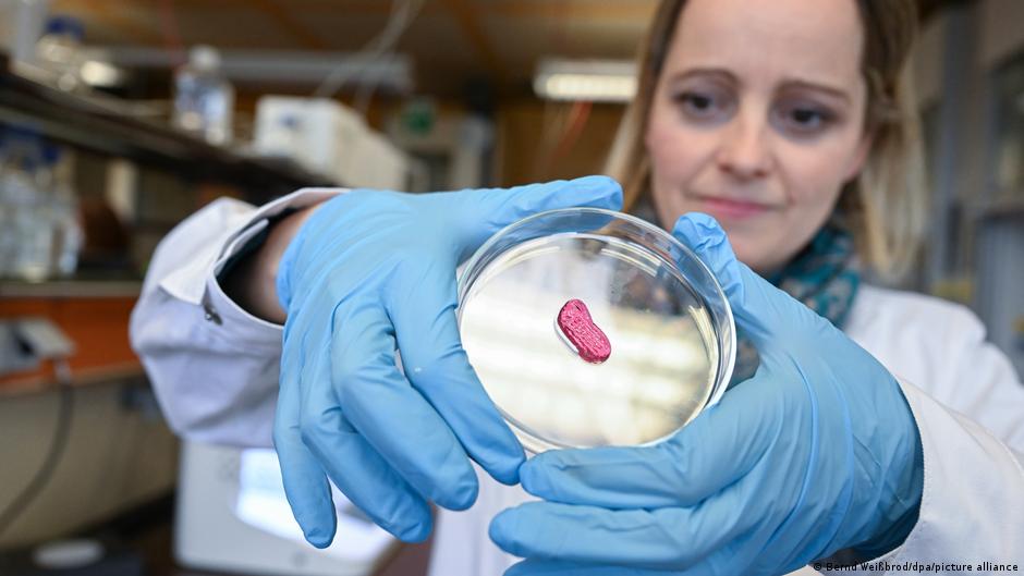Does lab-grown meat contain cancer cells? – DW – 10/05/2023 - Vimarsana News