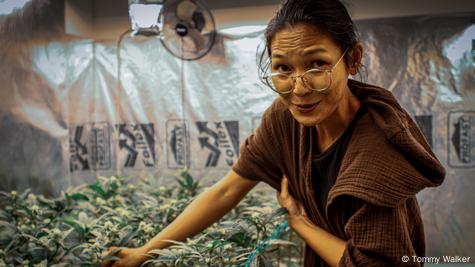 Thailand: Cannabis community hopes business can continue