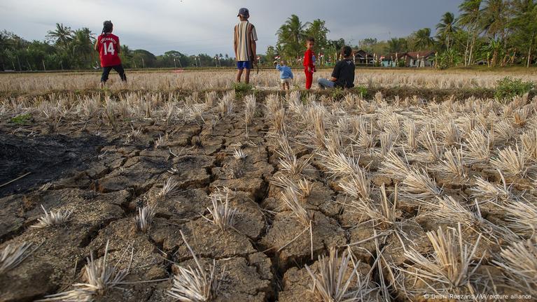 Ekstrema pogodowe. Czym są El Niño i La Niña? – DW – 17.04.2024