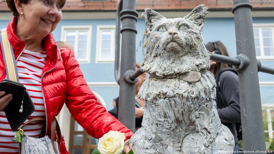 A monument to a cat has been erected in southern Germany Time News