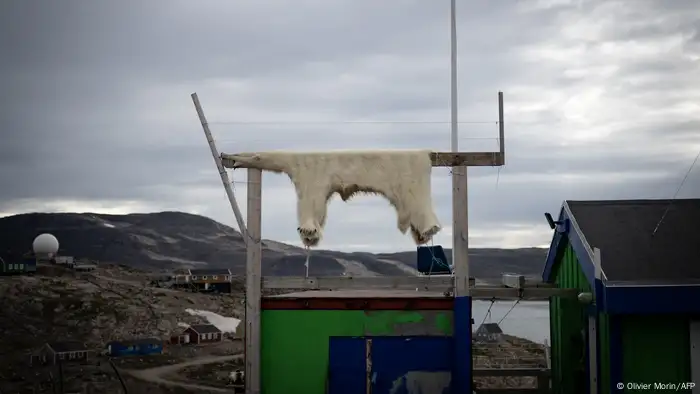 A polar bear skin hangs over a wooden beam next to a green house.