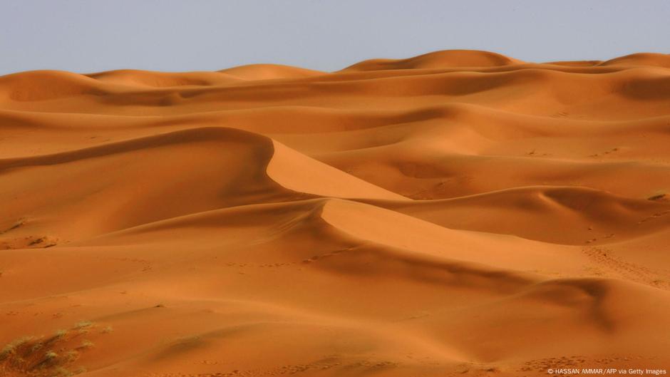 "سافانا".. هل كانت شبه الجزيرة العربية خضراء؟