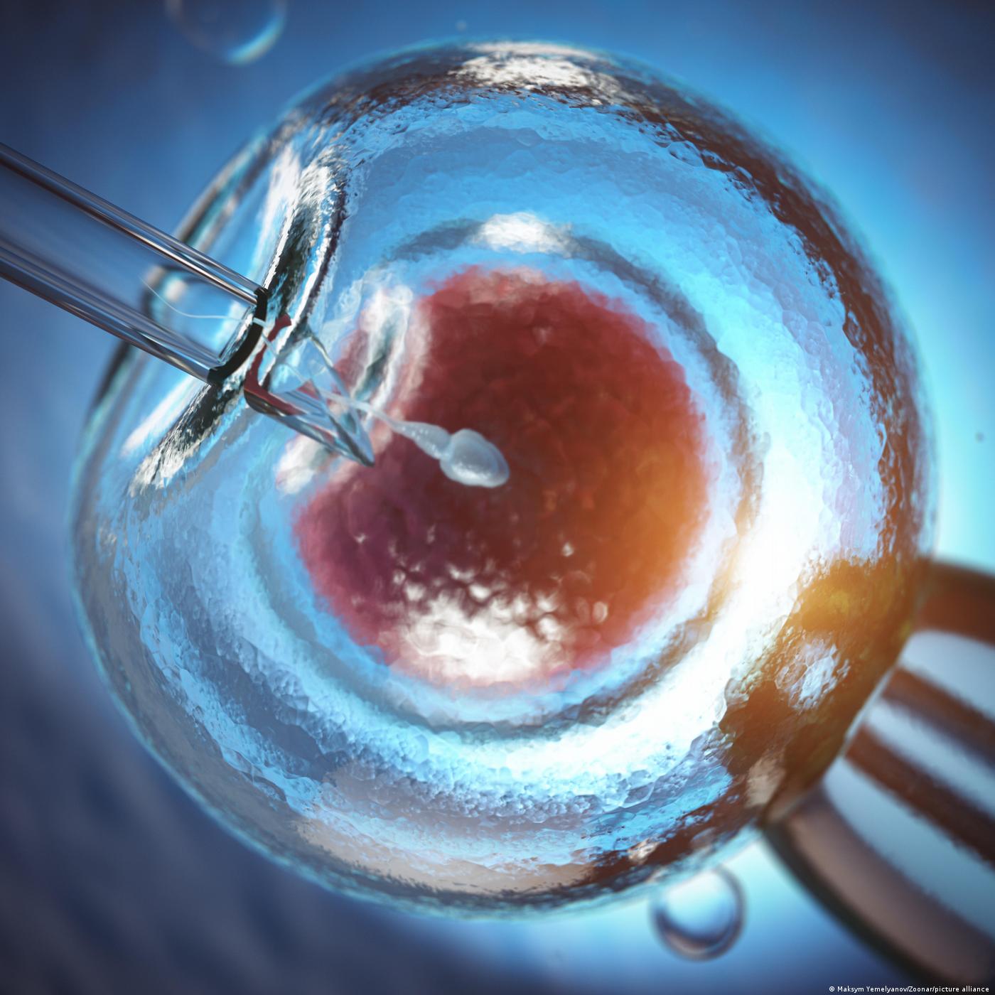 La PMA pour lutter contre l'infertilité