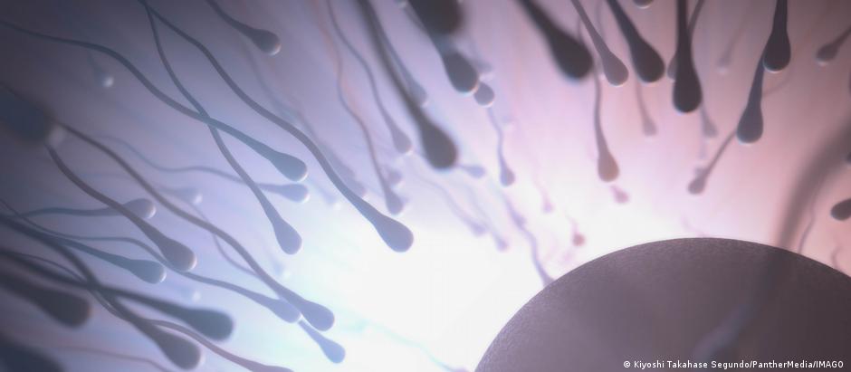 Un estudio sugiere que los espermatozoides desafían la ley de Newton