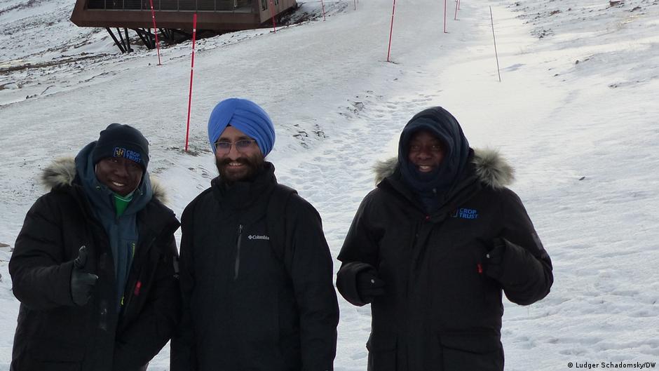 Svalbard seed vault helps protect Africa's food supply – DW – 11/13/2023 - Vimarsana News