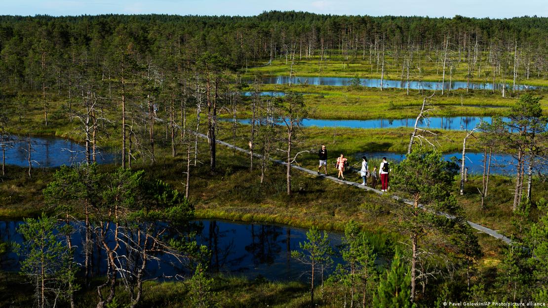 Pântano de Harju, Estônia