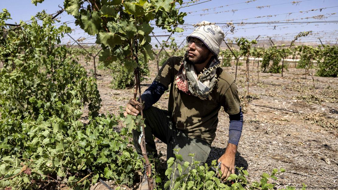 La ausencia de trabajadores palestinos ha golpeado la economía israelí. La ausencia de trabajadores palestinos ha golpeado la economía israelí.