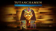 Pressebild Tutanchamun – Das immersive Ausstellungserlebnis