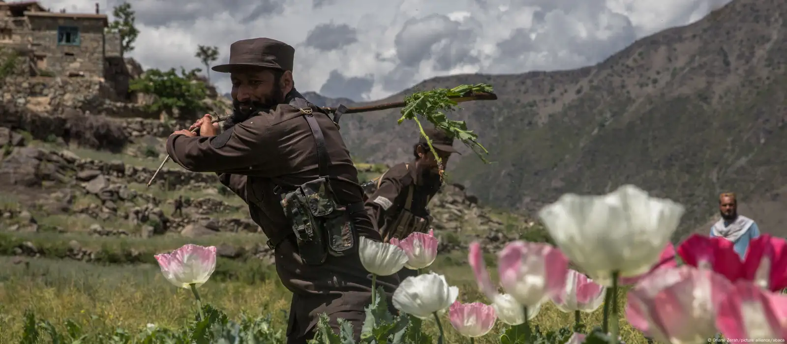 Afghanistan: Opium supply drops 95% after Taliban drug ban