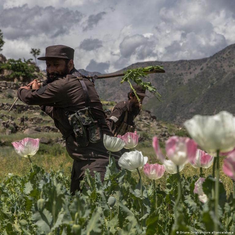 El opio, ¿el pretexto real de la guerra en Afganistán? - 28.06