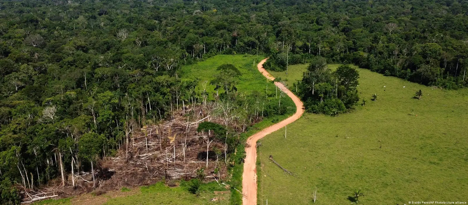 Record deforestation in Brazil's  rainforest shows challenge