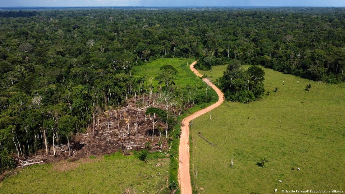 Desmatamento no Amazonas