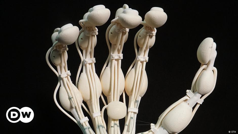 Pierwsza robotyczna ręka zbudowana z kości, więzadeł i ścięgien – DW – 16.11.2023