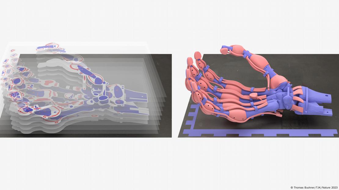 Investigadores crean un robot con "Huesos"