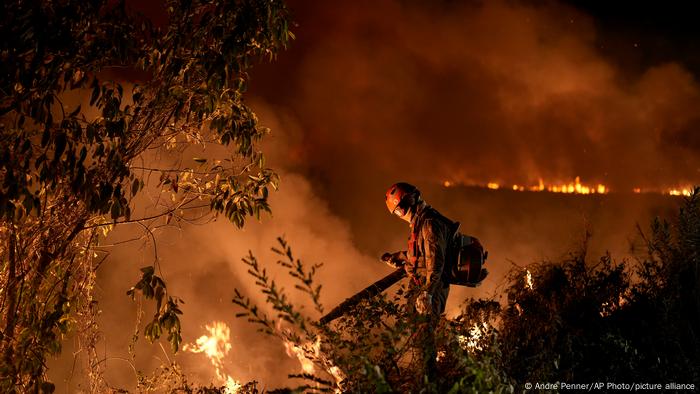 Como o Brasil combate incêndios florestais