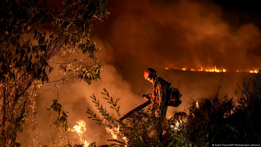 Bombeiro tenta apagar o fogo em região no Pantanal