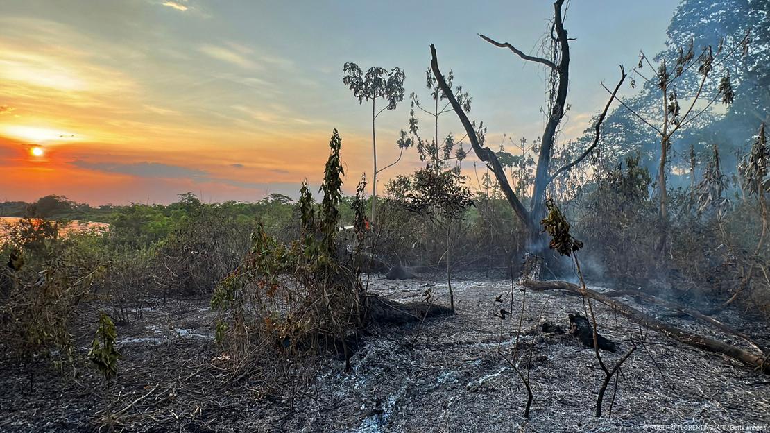 Em 2020, o Pantanal enfrentou uma estiagem severa e registrou incêndios recordes.