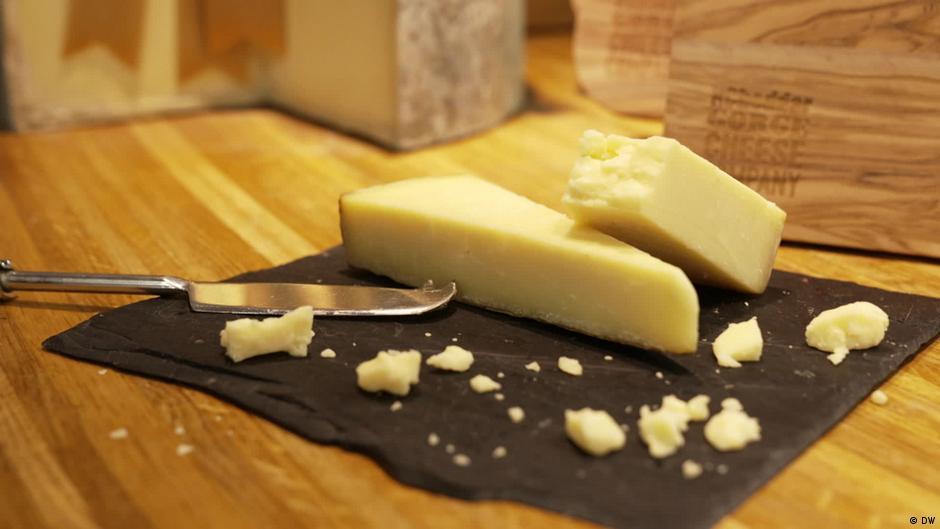 What makes cheddar cheese a worldwide favorite? DW 11/29/2023