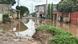Inundações em Luanda Inundações em Luanda