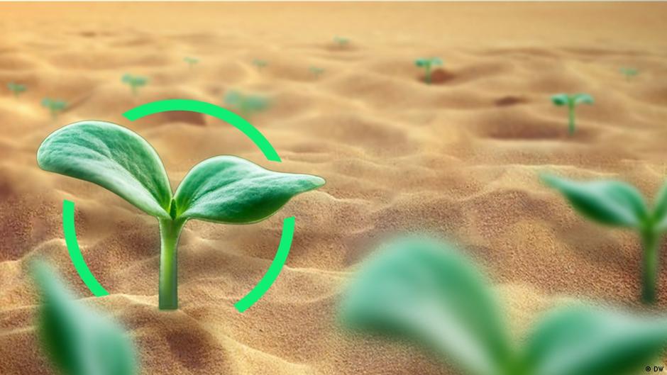 How to hold back the growing deserts? DW 02/04/2022