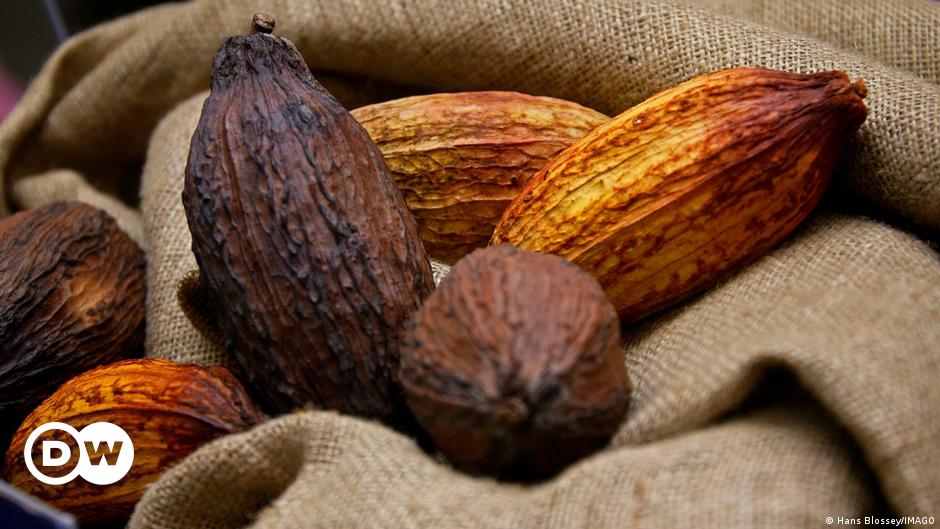 Kakaopreise erreichen vor Ostern den höchsten Stand seit 20 Jahren – DW – 26.03.2024