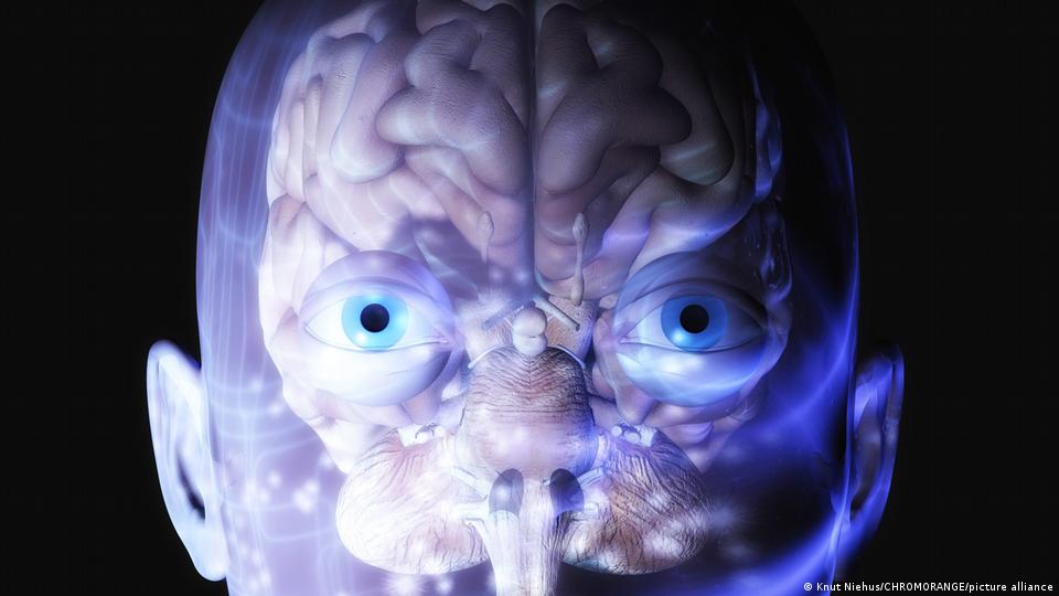 Aunque no buscaron demostrar que los bilingües tienen una ventaja inherente sobre los monolingües, afirmaron que aprender un segundo idioma siempre será beneficioso, ya sea en términos cognitivos, sociales o ambientales. 