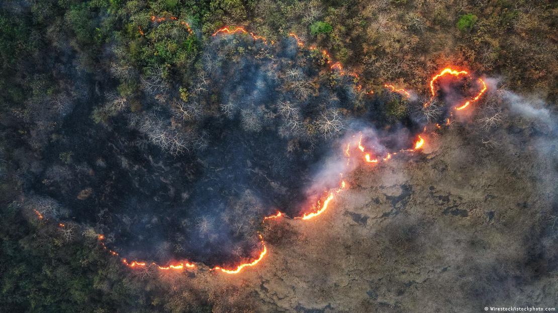 Pyll qe digjet, pamje simbolike nga ajri