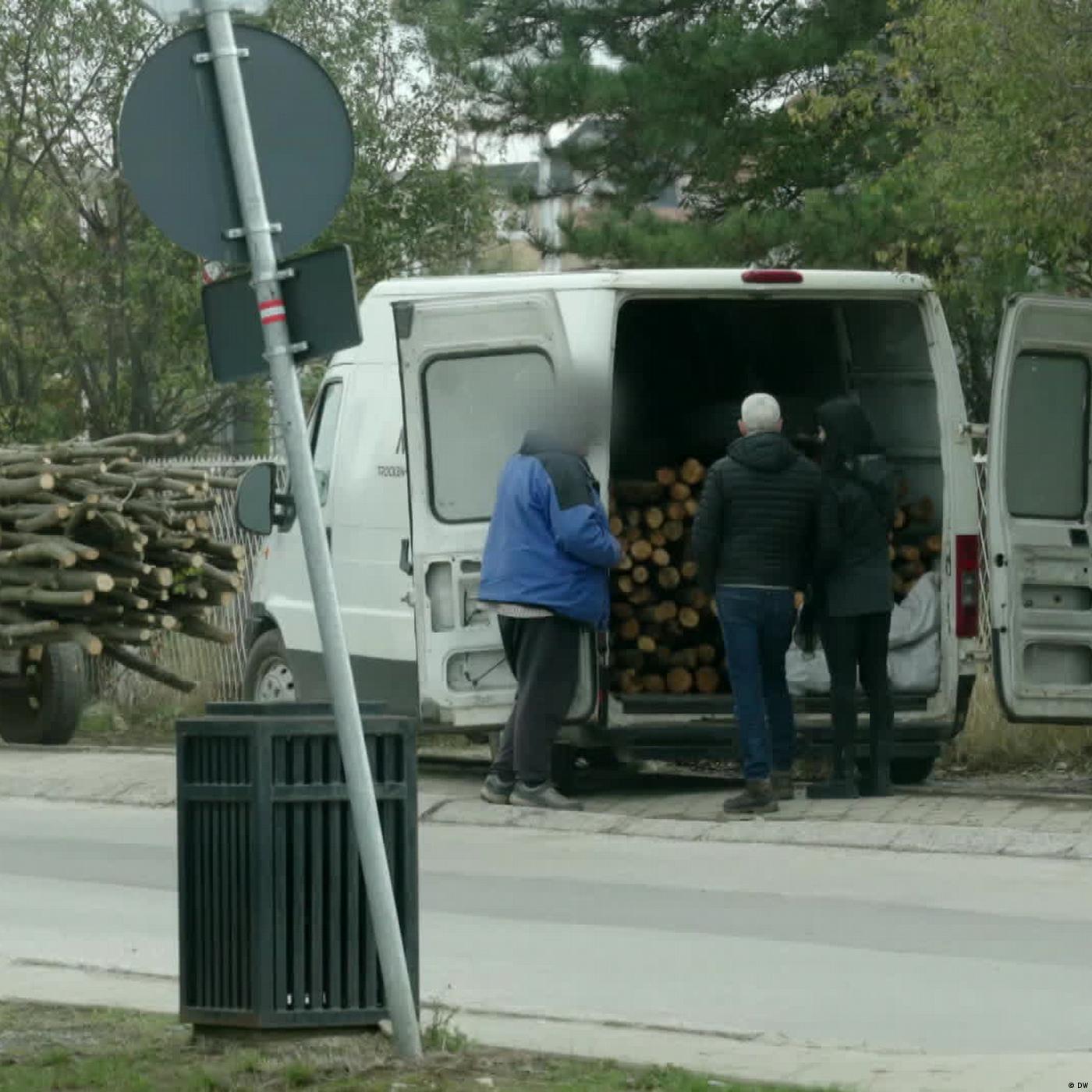 Illegal firewood threatens forests in Kosovo