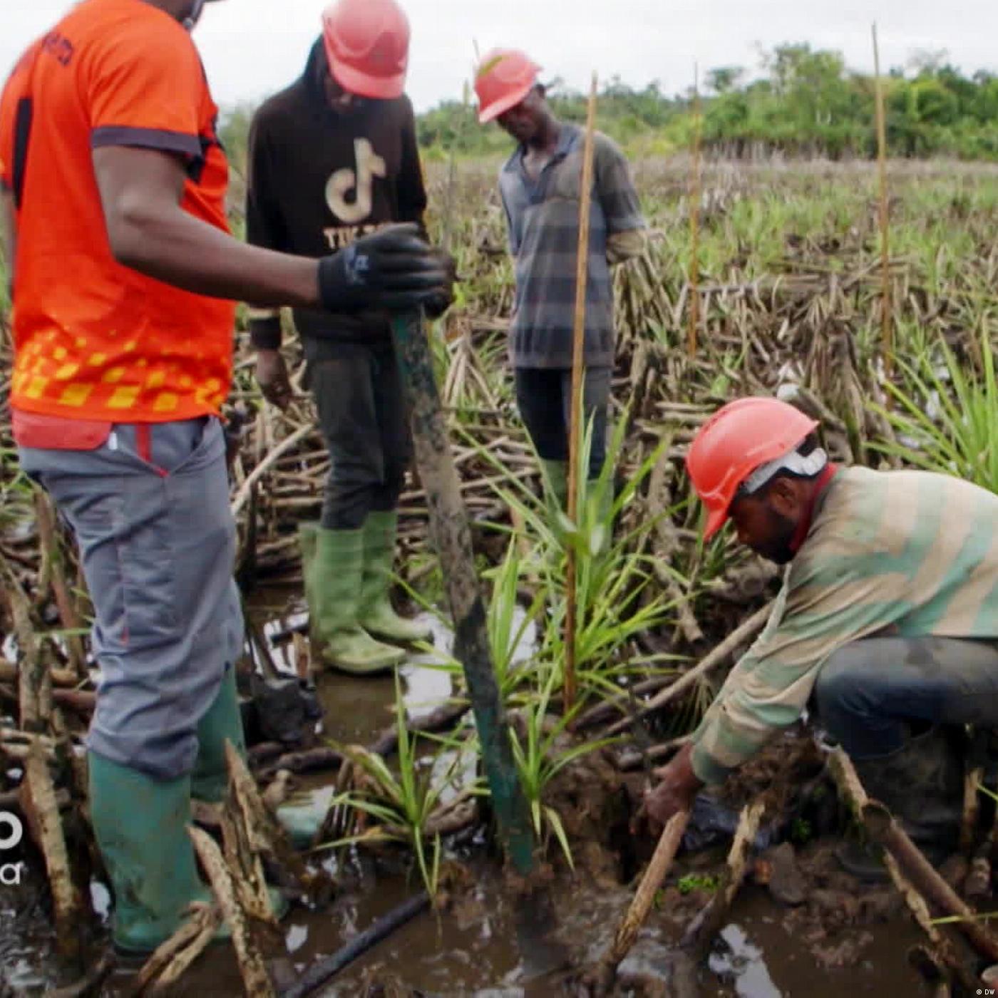 NGOs take on rising sea levels in Cameroon’s Douala