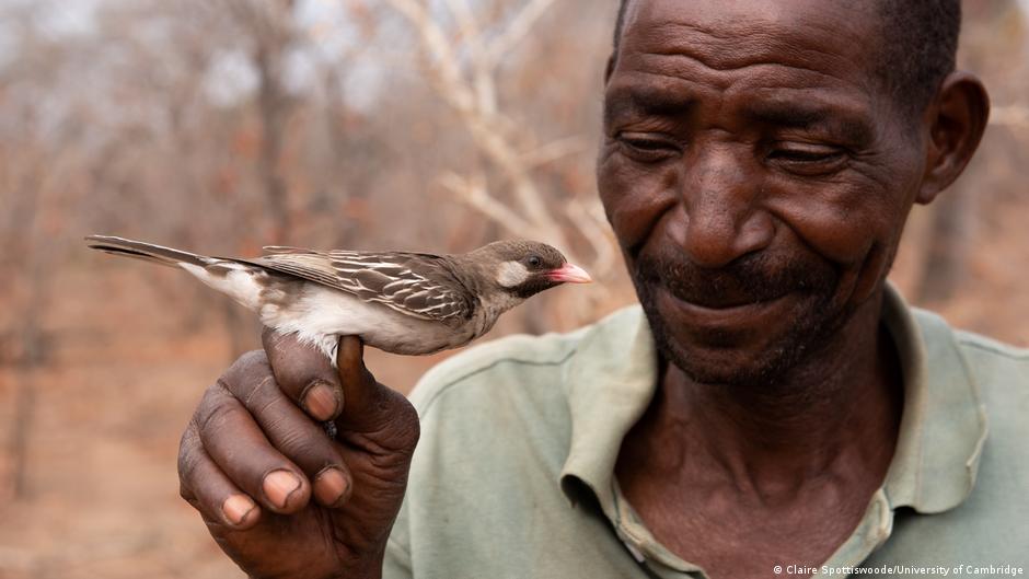What if your coworker was a bird? News Headlines