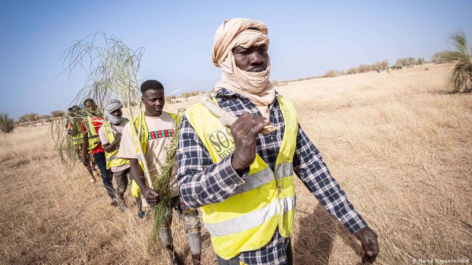 Mauritania: The refugees putting out fires - and prejudice – DW – 12/27/2023 - Vimarsana News