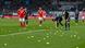 Tossing tennis balls onto the pitch has been a favored method for protesting Bundesliga fans Tossing tennis balls onto the pitch has been a favored method for protesting Bundesliga fans