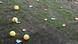 Tennis balls and chocolate coins on the football pitch Tennis balls and chocolate coins on the football pitch