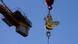 The replica of the golden rooster is craned up to the top of the Notre Dame cathedral spire as part of restoration works The replica of the golden rooster is craned up to the top of the Notre Dame cathedral spire as part of restoration works