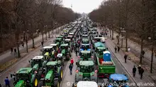 德国农民抗议政府 勃兰登堡门前摆拖拉机阵