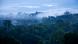 Neblina na Floresta Amazônica Neblina na Floresta Amazônica
