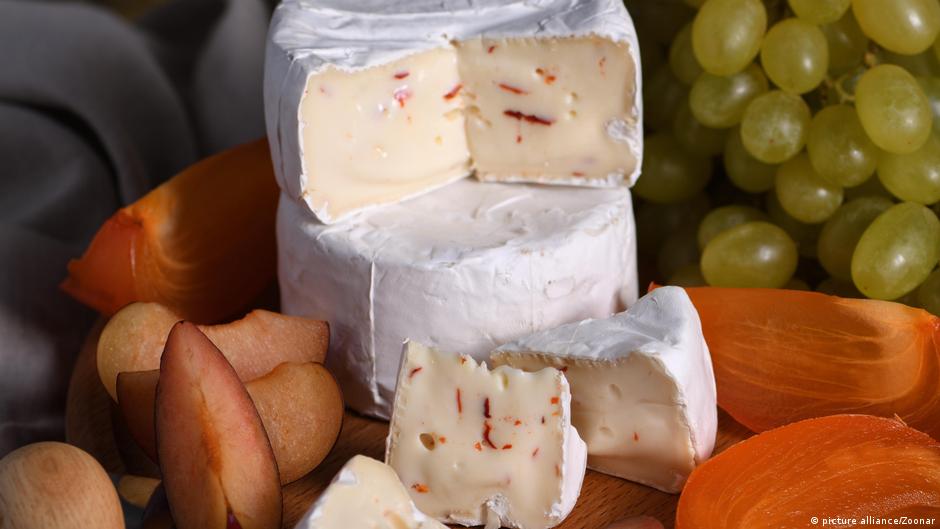 Pleśń nagrodzona! Została mikroorganizmem roku