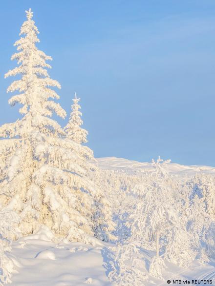Frio extremo na Escandinávia não contraria aquecimento do planeta