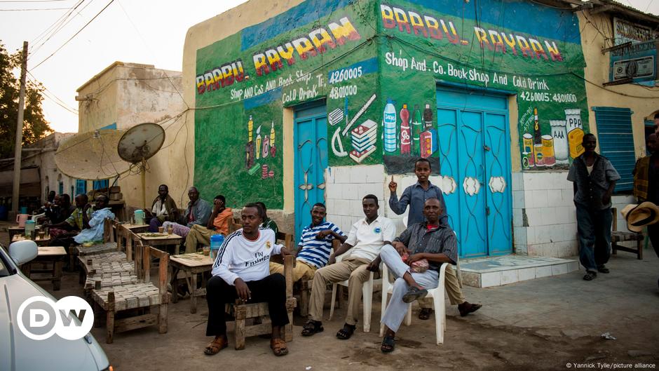 Somaliland elections Impact on regional power dynamics DW 11/12/2024